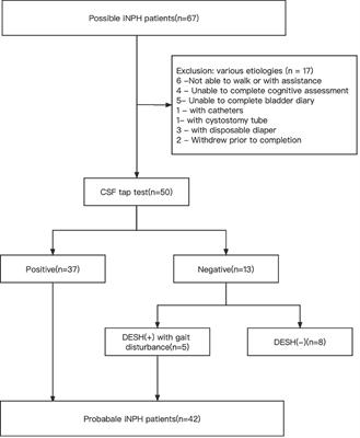 Comparison of cerebrospinal fluid space between probable normal pressure hydrocephalus and Alzheimer’s disease